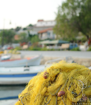 Triantafilia GuestHouse