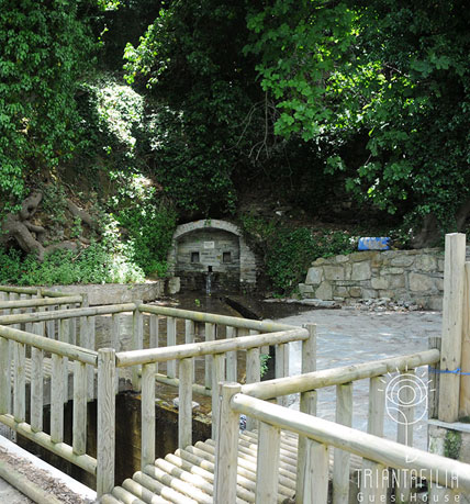 Triantafilia GuestHouse